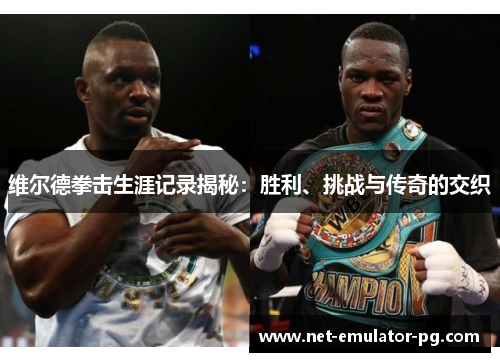 维尔德拳击生涯记录揭秘：胜利、挑战与传奇的交织