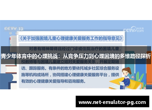 青少年体育中的心理挑战：从竞争压力到心理困境的多维路径探析