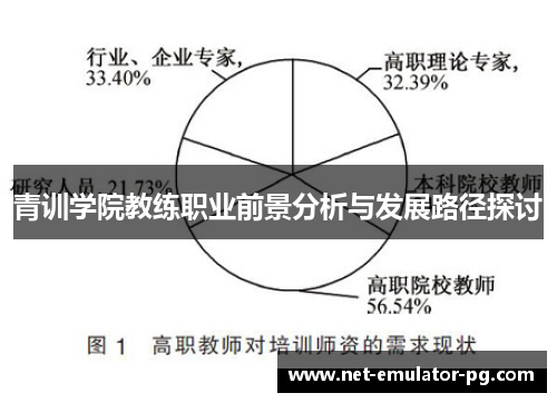 青训学院教练职业前景分析与发展路径探讨 青训学院教练职业前景分析与发展路径探讨