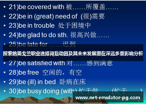 探索纳英戈兰职业选择背后动因及其未来发展潜在深远多重影响分析 探索纳英戈兰职业选择背后动因及其未来发展潜在深远多重影响分析