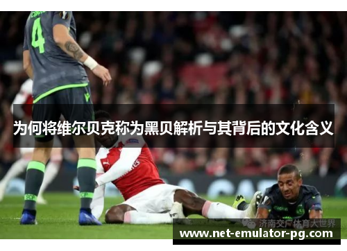 为何将维尔贝克称为黑贝解析与其背后的文化含义