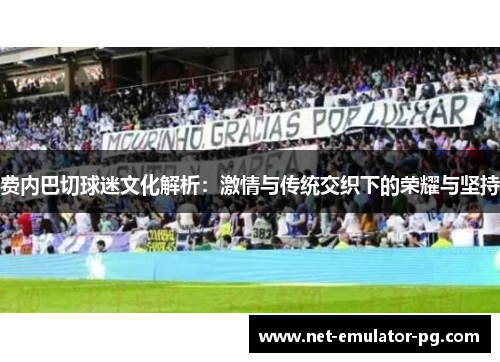 费内巴切球迷文化解析：激情与传统交织下的荣耀与坚持